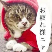 tunneco(●´ω｀●)の画像