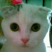 さっちゃん
