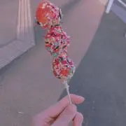 ぽろの画像