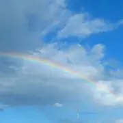 やぎまる