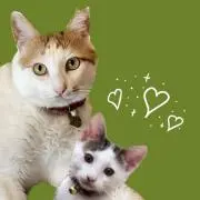 みかん☆の画像