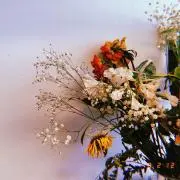M.K.の画像