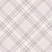 みみ【6/29までの限定出品】の画像