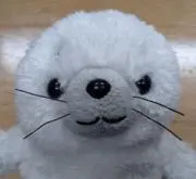 ひろ