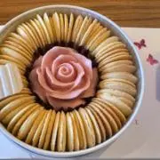 わに