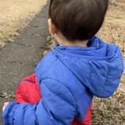 琥珀の画像
