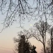Leiの画像