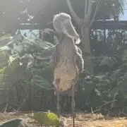 Takuの画像