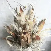 toccoの画像