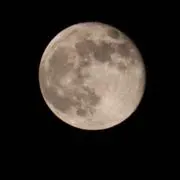 フルムーンの画像
