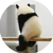 ゆ〜まめの画像
