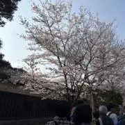 minazuki
