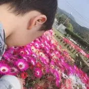 HaruHaruの画像