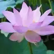 Shanti★プロフィール必読の画像