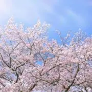 kunaの画像