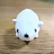 スペイドの画像