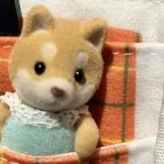 ぁさ*の画像
