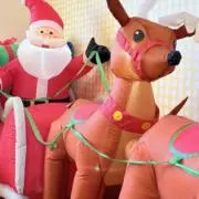 もこもこ☺︎の画像