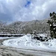 plum.の画像
