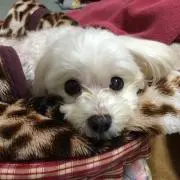 R(プロフィール確認お願い致します☆)の画像