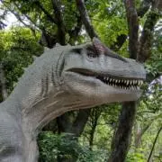 まーの画像