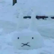 バタ子★の画像