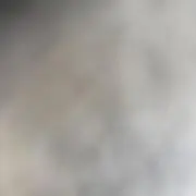 たいの画像