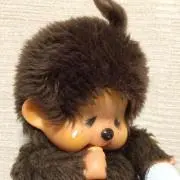 YATCHYの画像