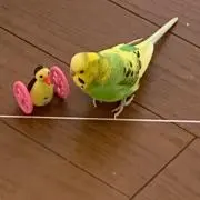 ラムちゃん