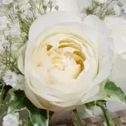 ☆hana☆の画像