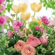 ʕ⁠´⁠•⁠ᴥ⁠•⁠`⁠ʔ♡の画像