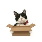 こてつ⭐︎即購入OK