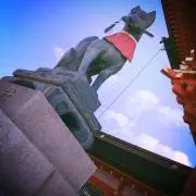 momotarou