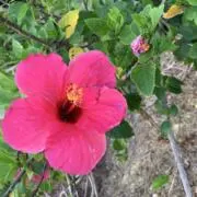 OTOMI  ☆断捨離中☆の画像