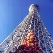 hmandarの画像