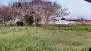 はぴタウン☆の画像