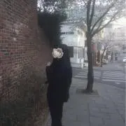 314の画像