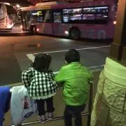 gogosutewaの画像