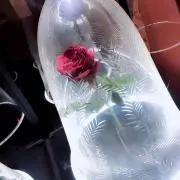 さよなら