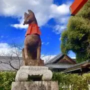 昨日のしょー