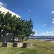 gacciの画像