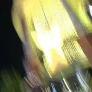 ささみの画像