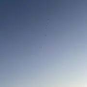 二子玉川
