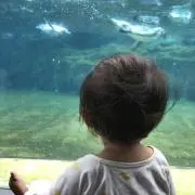 シユリ✳︎プロフ必読✳︎の画像