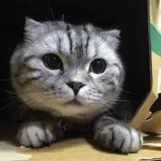 RYUSEIの画像