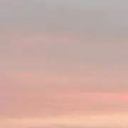 nemu