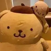 ぽむの画像