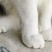 んきの画像
