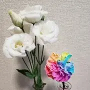 ちひろ