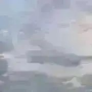 kanaの画像